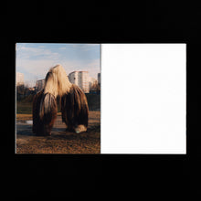 Load image into Gallery viewer, Generation/поколение