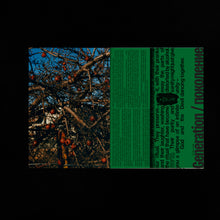 Load image into Gallery viewer, Generation/поколение